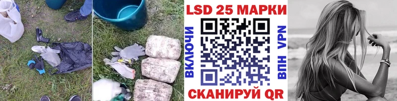 KRAKEN рабочий сайт  Камень-на-Оби  Лсд 25 экстази кислота 
