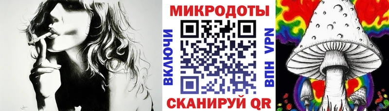 darknet какой сайт  Камень-на-Оби  Псилоцибиновые грибы прущие грибы 
